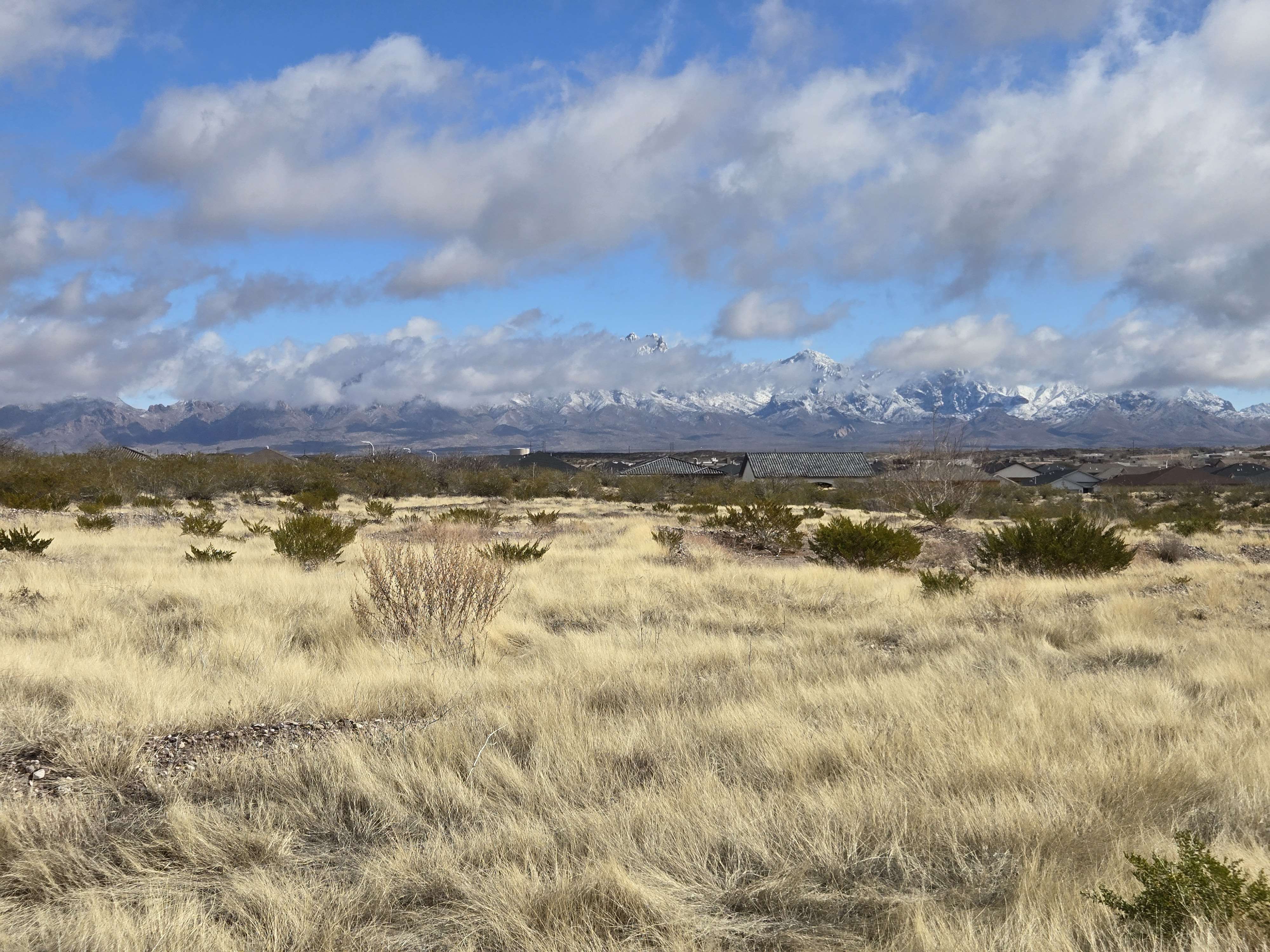 Organ Mountains in Winter
